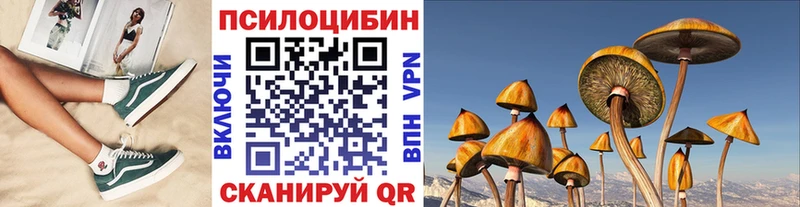 цена   Ардон  Псилоцибиновые грибы Cubensis 